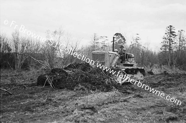 BULLDOZER  CLEARING SCRUB AND TREES